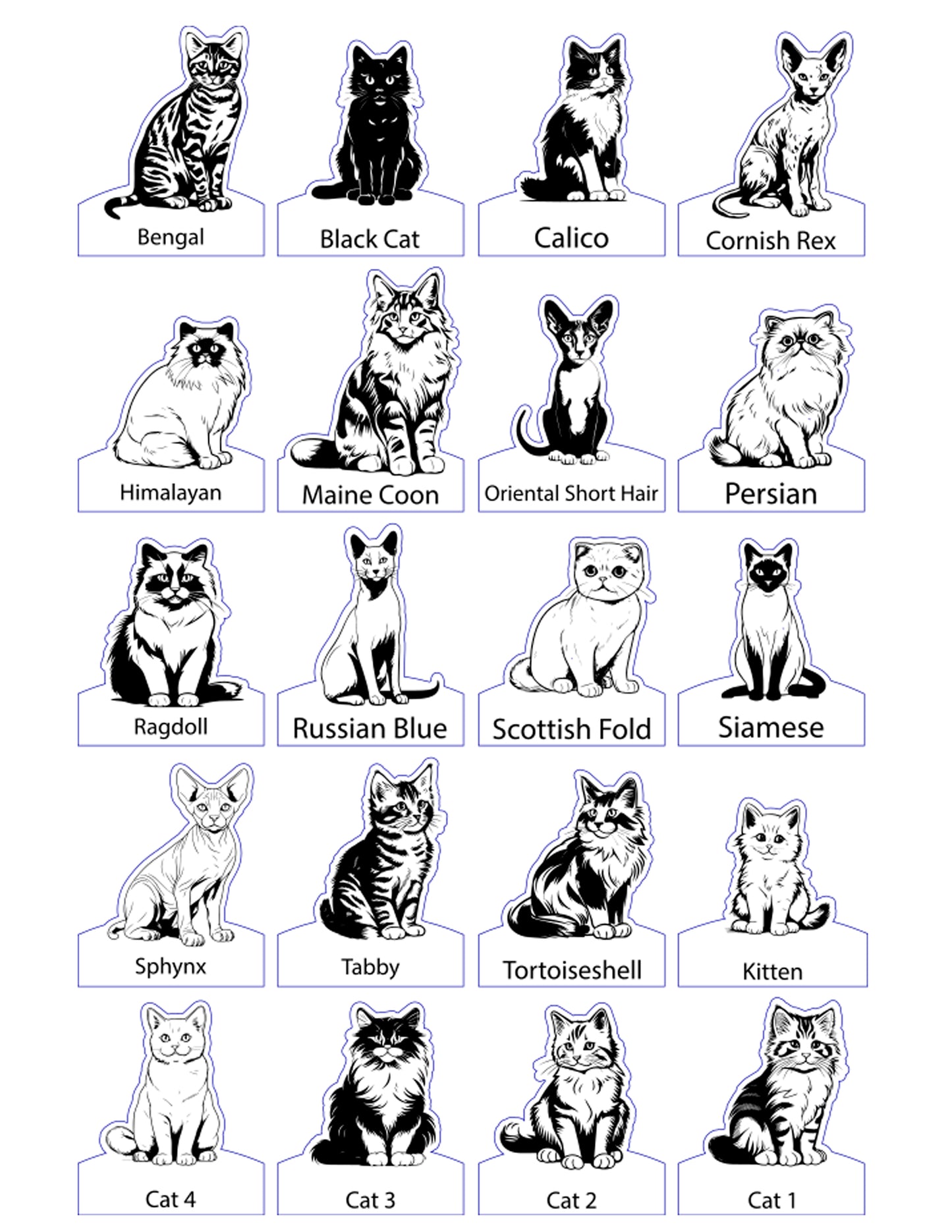 Choose Your Pet Chair