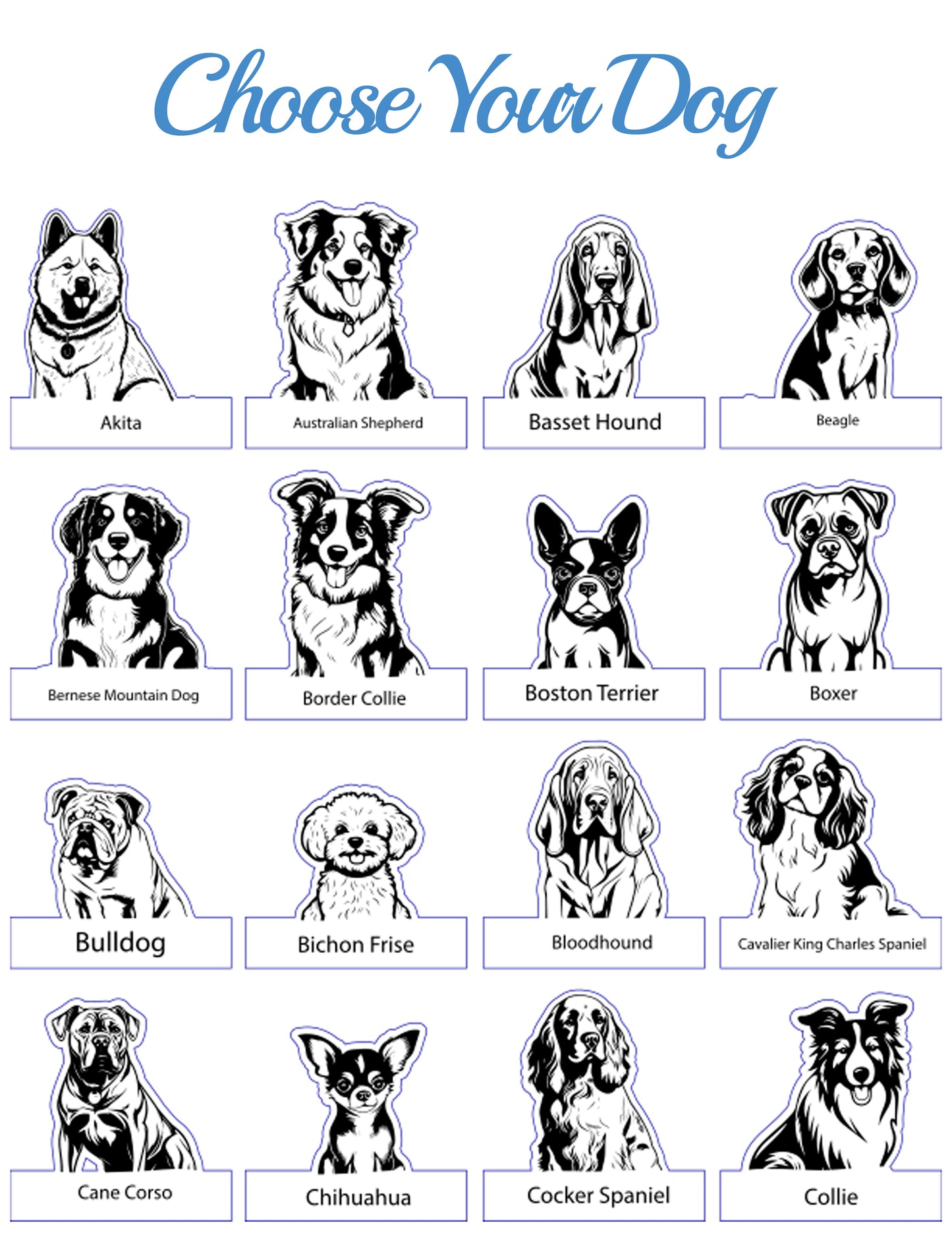 Choose Your Pet Chair