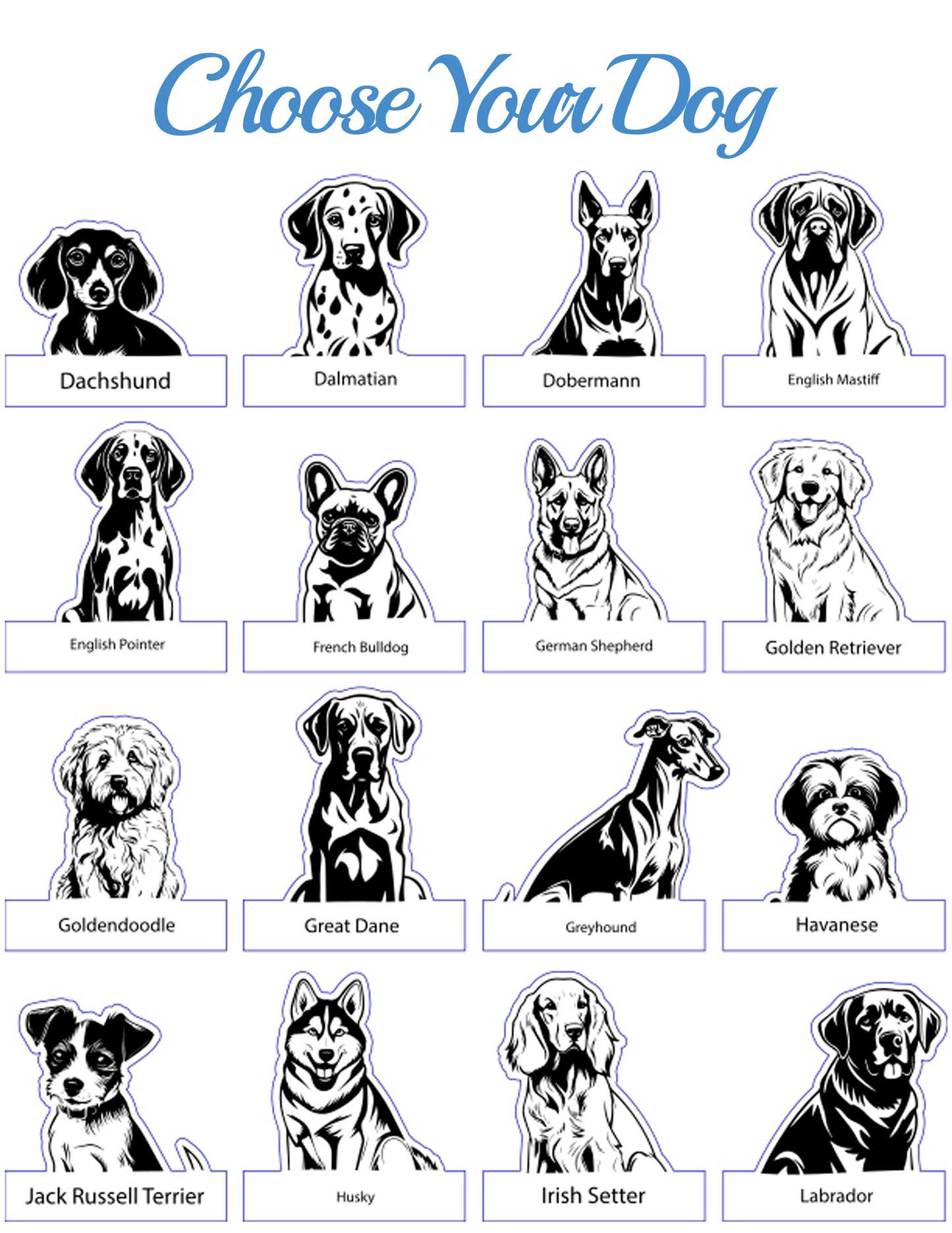 Choose Your Pet Chair