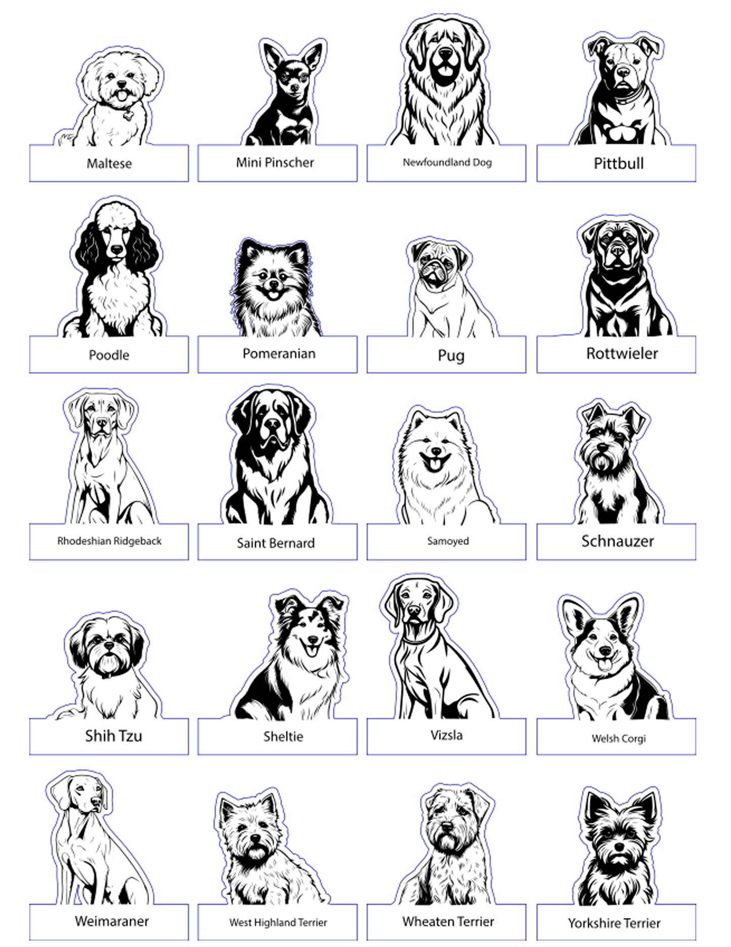 Choose Your Pet Chair