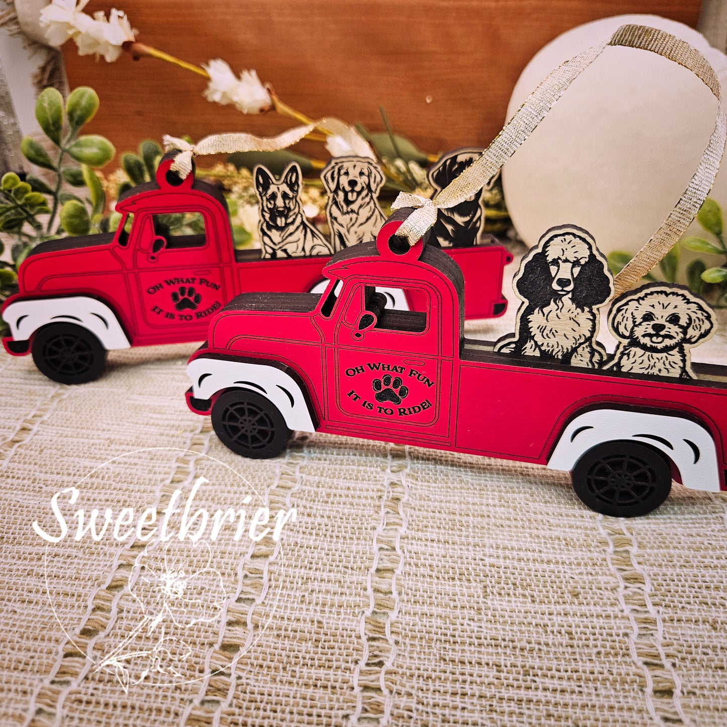 Choose Your Pet Truck