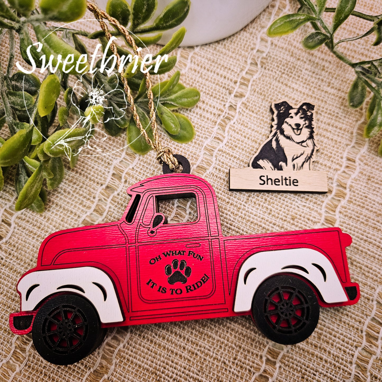 Choose Your Pet Truck