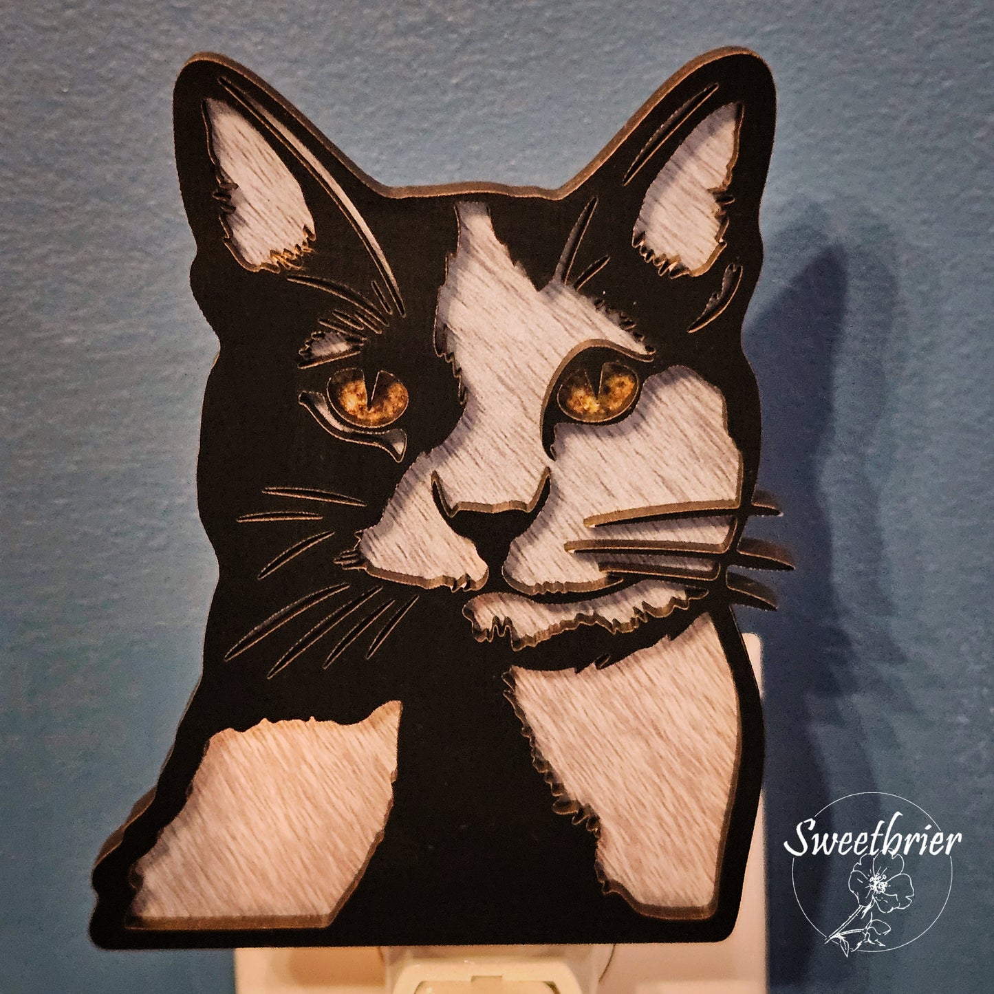 Midnight Whiskers Nightlight
