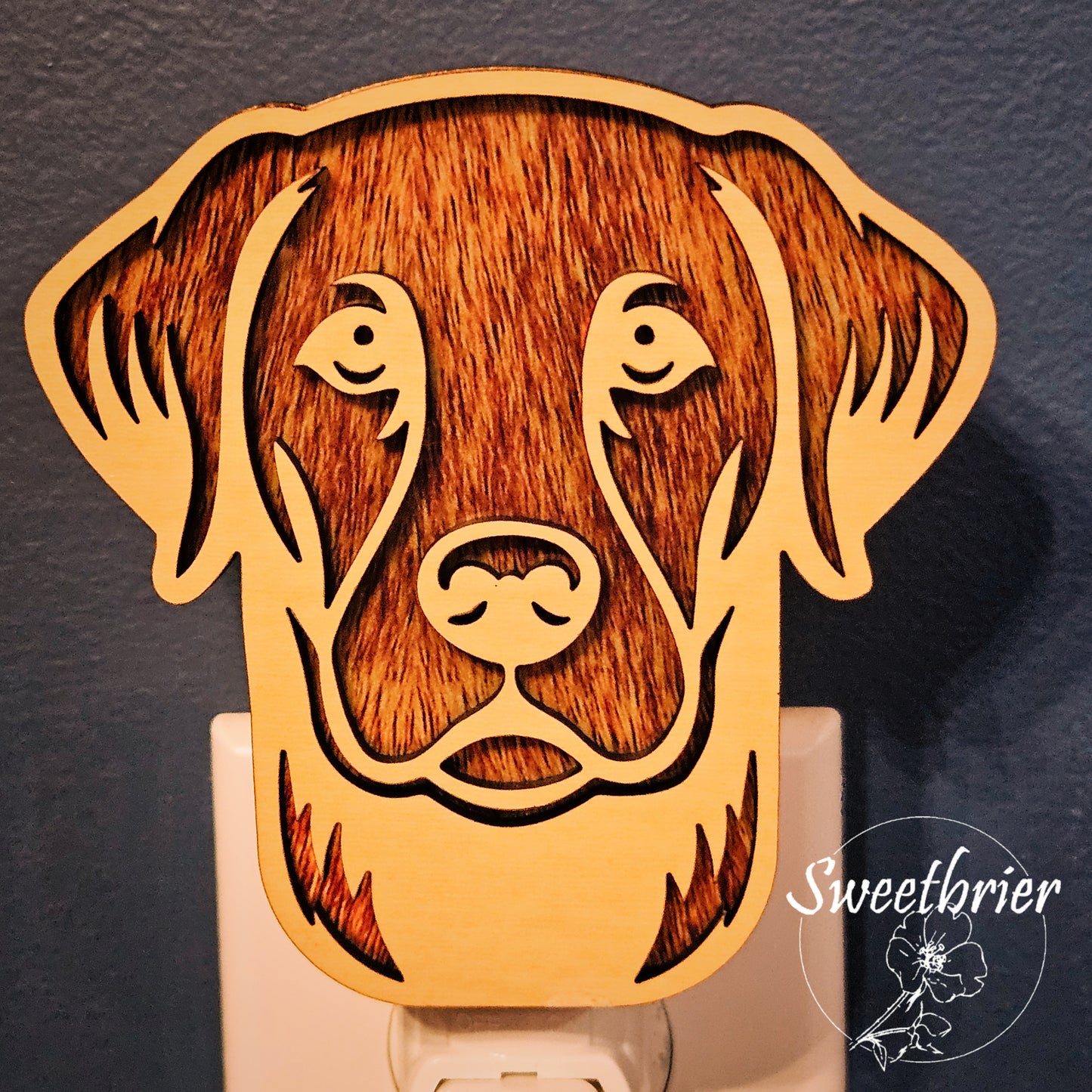 Golden Friend Nightlight
