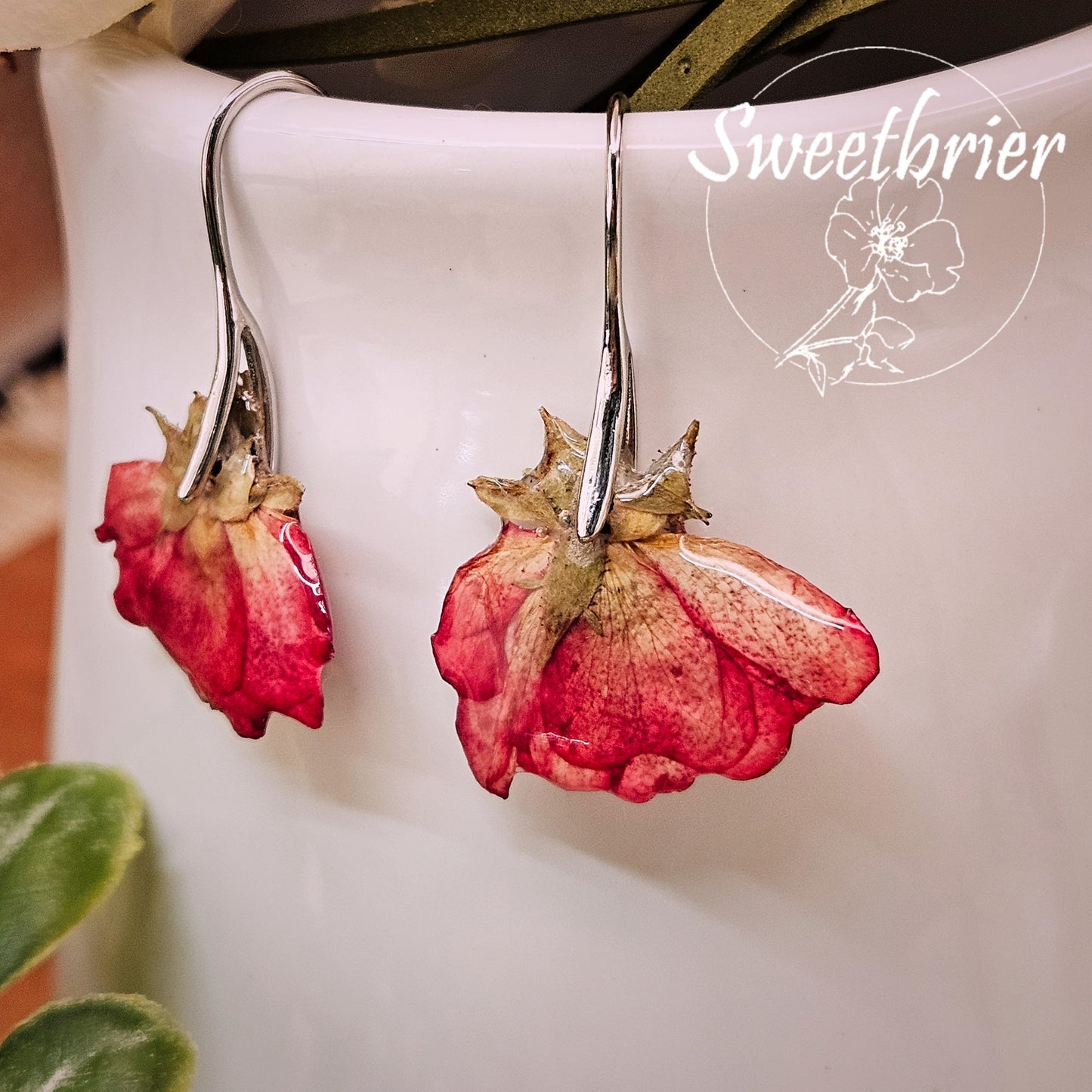 Rose Drift Earrings