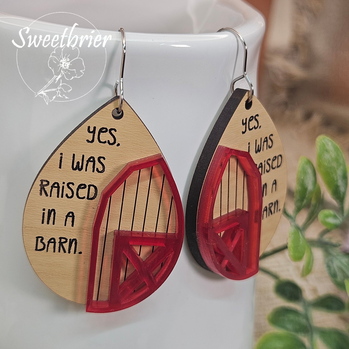 Yes I Was Raised in a Barn Earrings