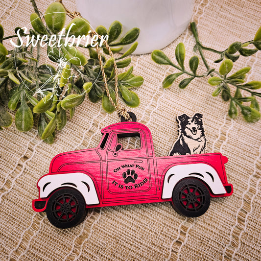 Choose Your Pet Truck