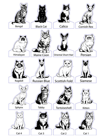 Choose Your Pet Chair