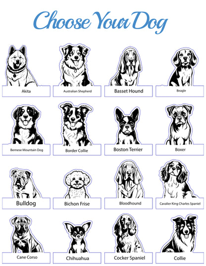 Choose Your Pet Chair