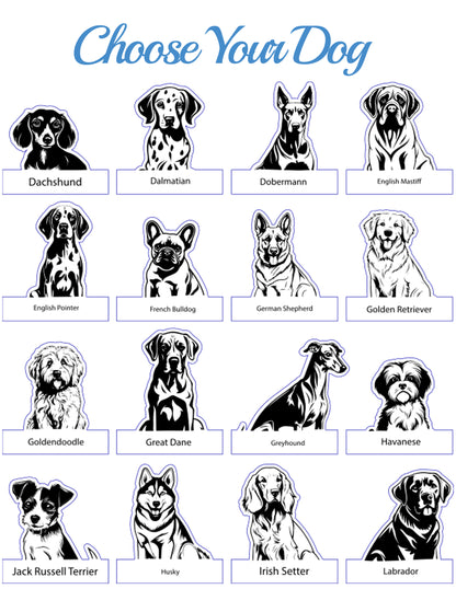 Choose Your Pet Chair