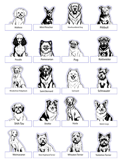 Choose Your Pet Chair