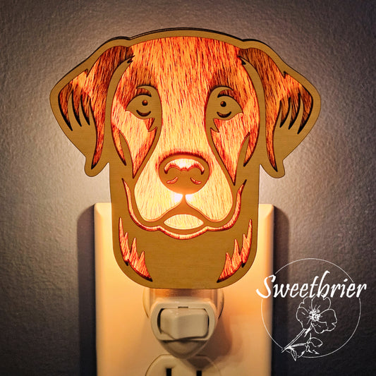 Golden Friend Nightlight