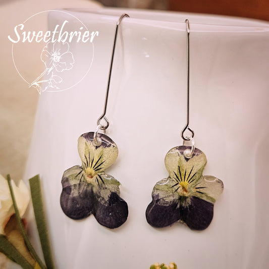 Pansy Drop