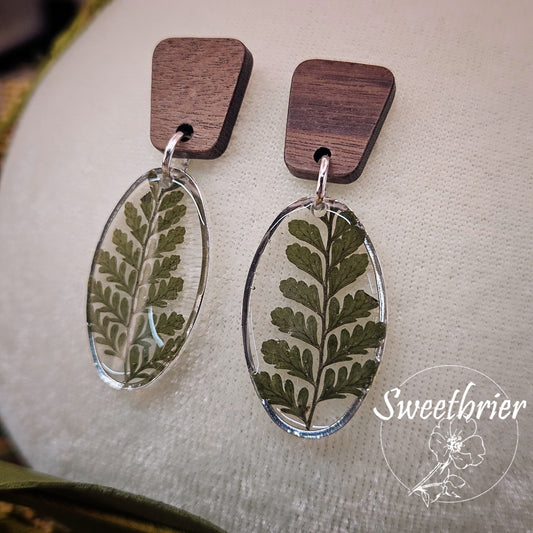 Woodland Fern Drop Earrings