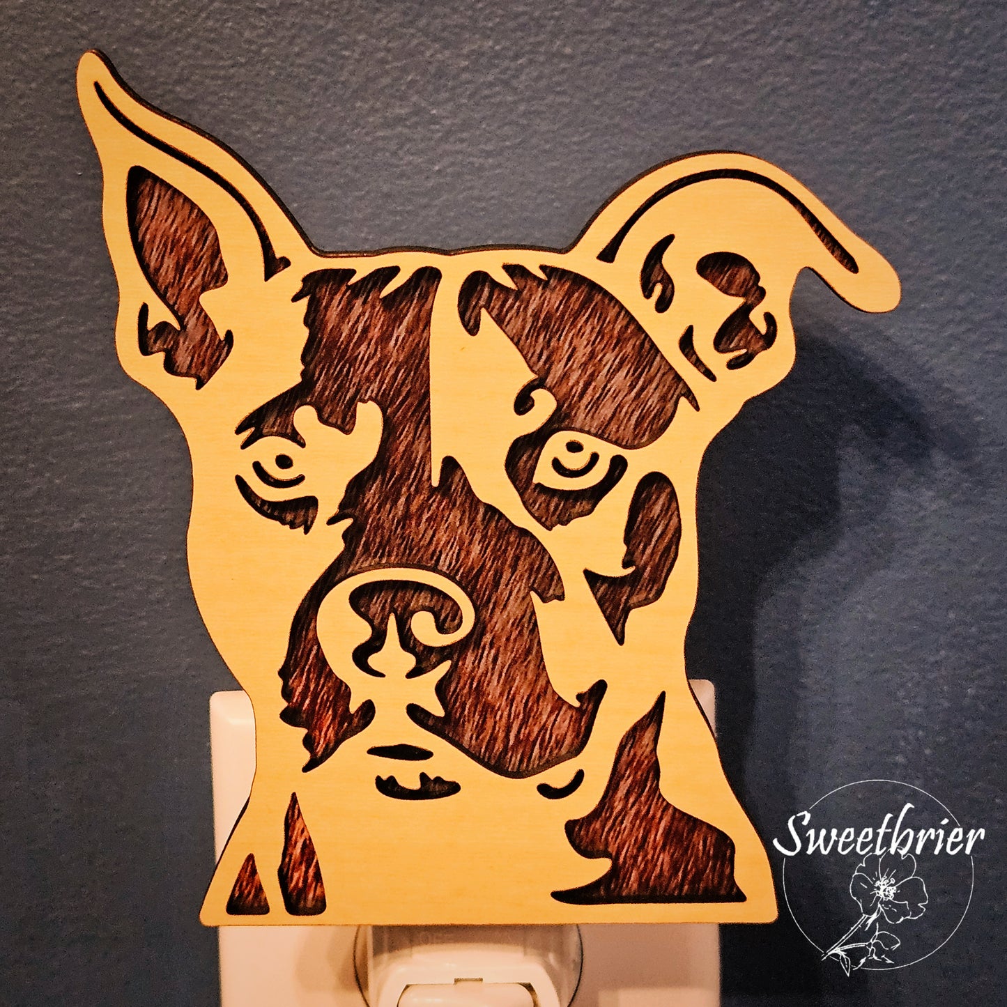 Loyal Companion Nightlight