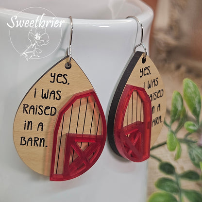 Yes I Was Raised in a Barn Earrings