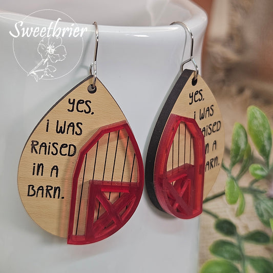 Yes I Was Raised in a Barn Earrings
